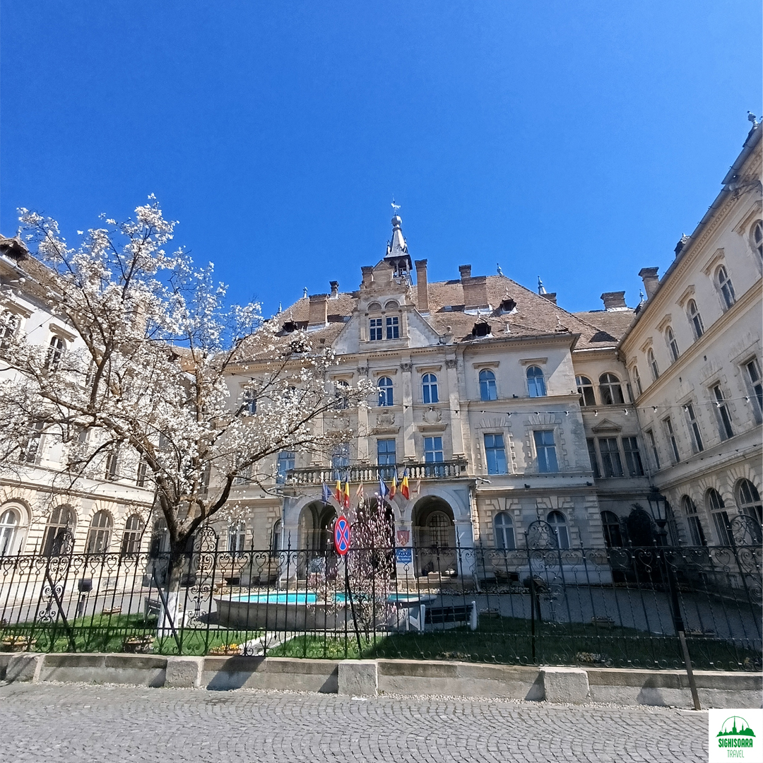 Primaria Sighisoara